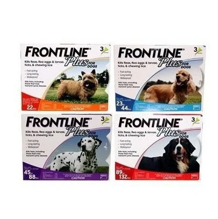 Direct Supplier Of High Quality Frontline Plus Flea & Tick Treatment for Dogs (Small Dogs 5-22 Pounds) Wholesale Price