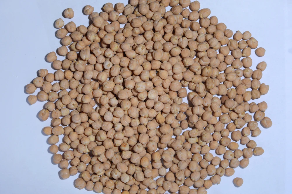 Сырой сушеный нут высокого качества в Бельгии оптом для продажи от производителя 7 мм 8 9 10 11