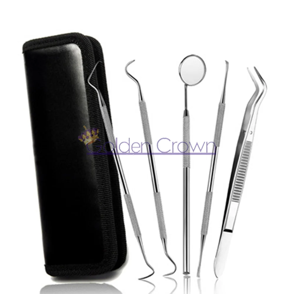 Dental Tooth Probe 5 Pcs Teeth Cleaning Tools Stainless Steel Tweezers Scalers Dental Instruments With Kit Oral Cleaning Probe