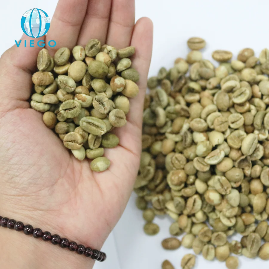Экспорт самые дешевые вьетнамские зеленые кофейные зерна Robusta класс 1/AA экран 18 стандарт