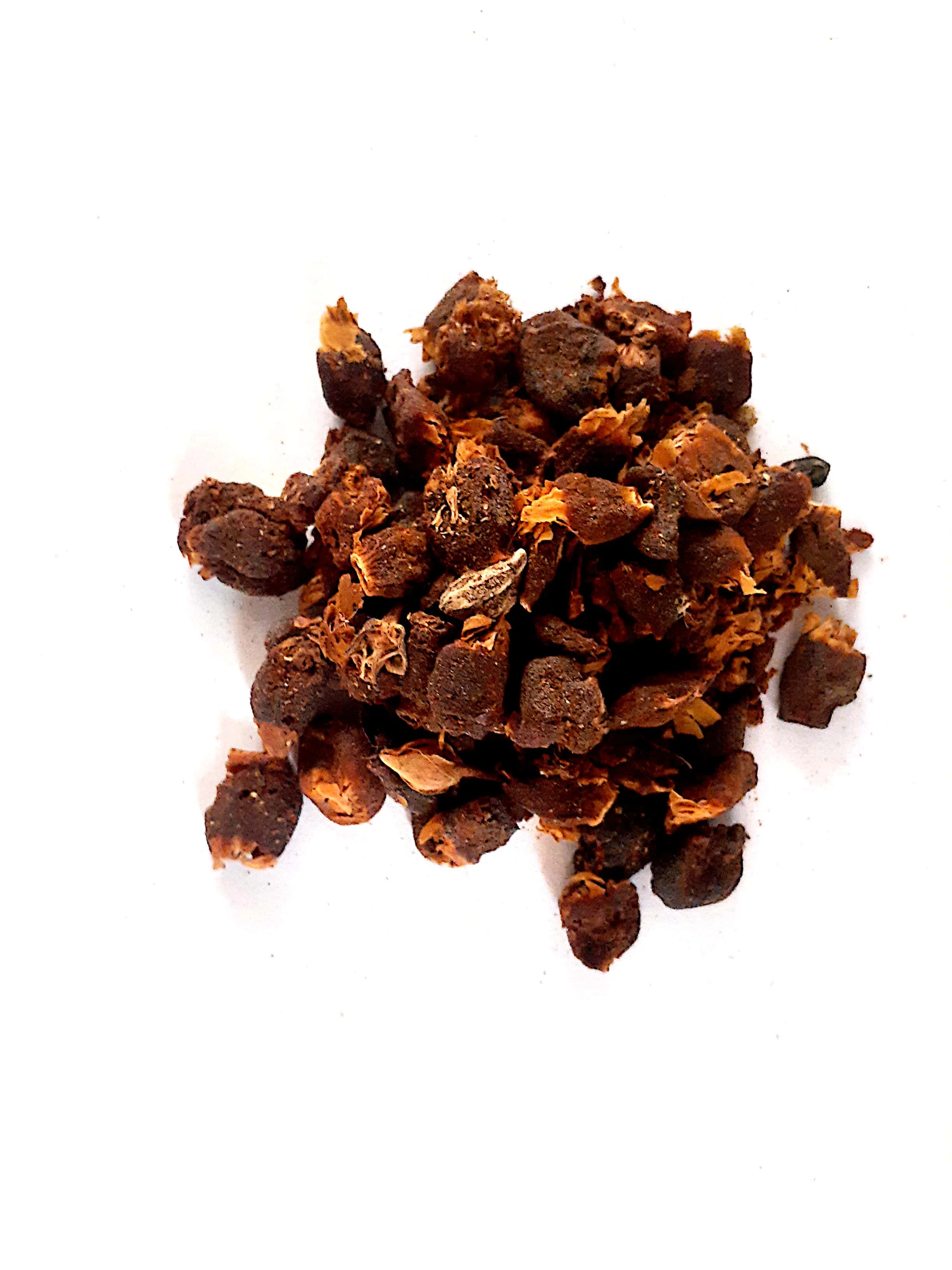 Indian Origin Herb Madhuca Longifolia Seed - Best Quality Mahua Seed Are Widely Used For Removing Intestinal Worms