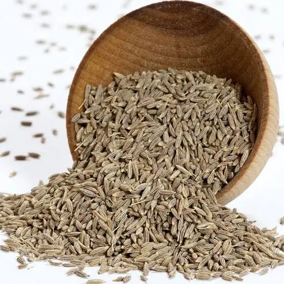 
COMINHO / KOMIJN / KAMMUN / SPISKUMMIN / COMINO DI CUMIN Seeds India 