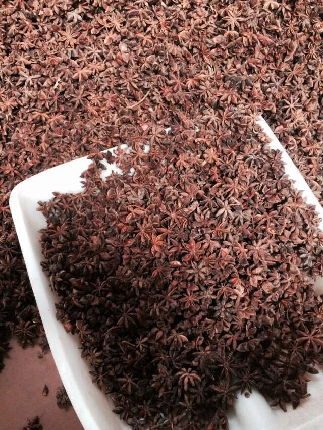 Hot selling in Vietnam Supplier of pure star aniseed Vietnam Star with the best price