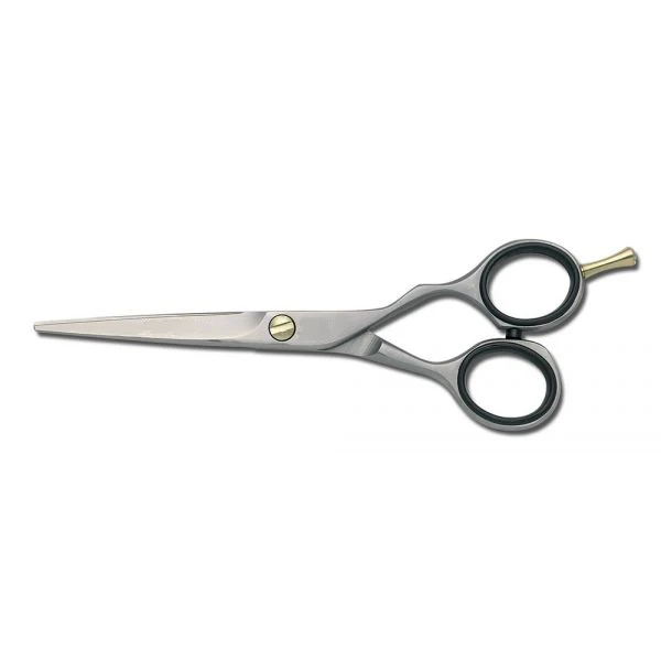 Новые парикмахерские ножницы премиум-класса обычные для стрижки салонная бритва с краями 6 9 дюйма парикмахерской