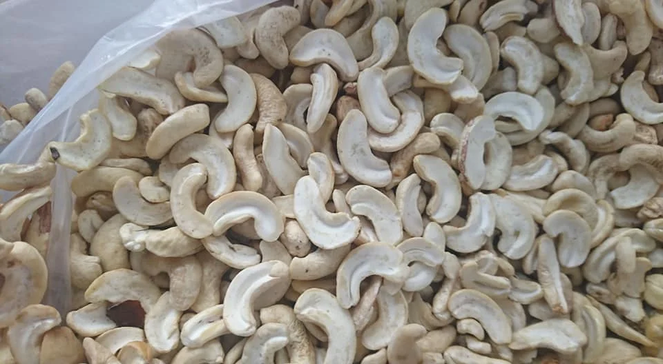 Factory Price High Grade Natural Product Cashew Nuts W320 W240 from Vietnam