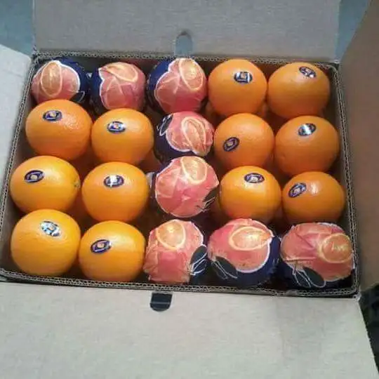 Свежий апельсин -- по низкой цене доступной для экспорта 2021