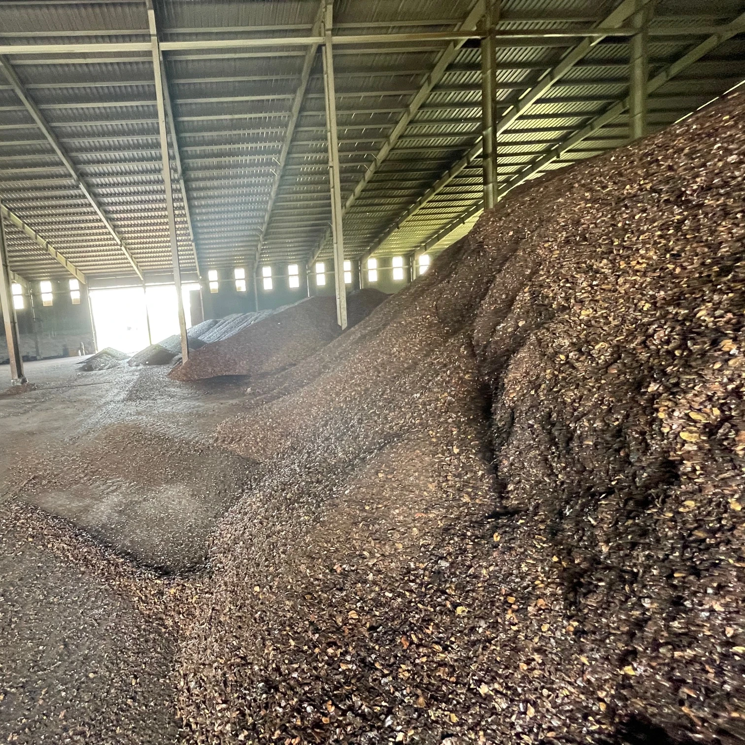 CASHEW NUT SHELL EXTRACTION / Wholesale Cashew nut shell liquid (Quick response and Fast delivery)