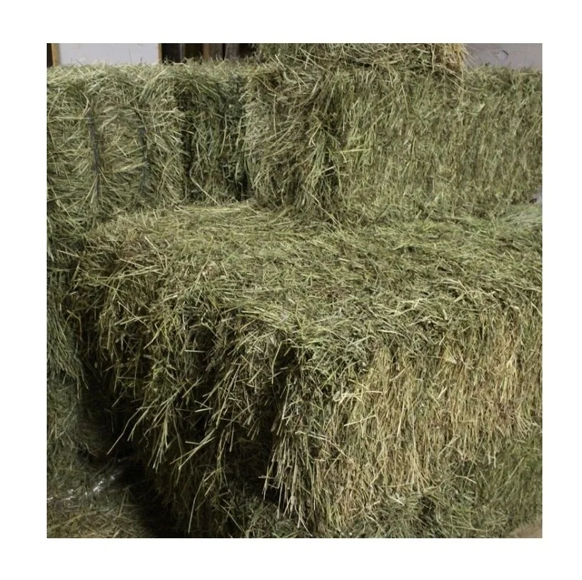 Best Price Of Cattle Feed Timothy Hay Bales  At Low Prices