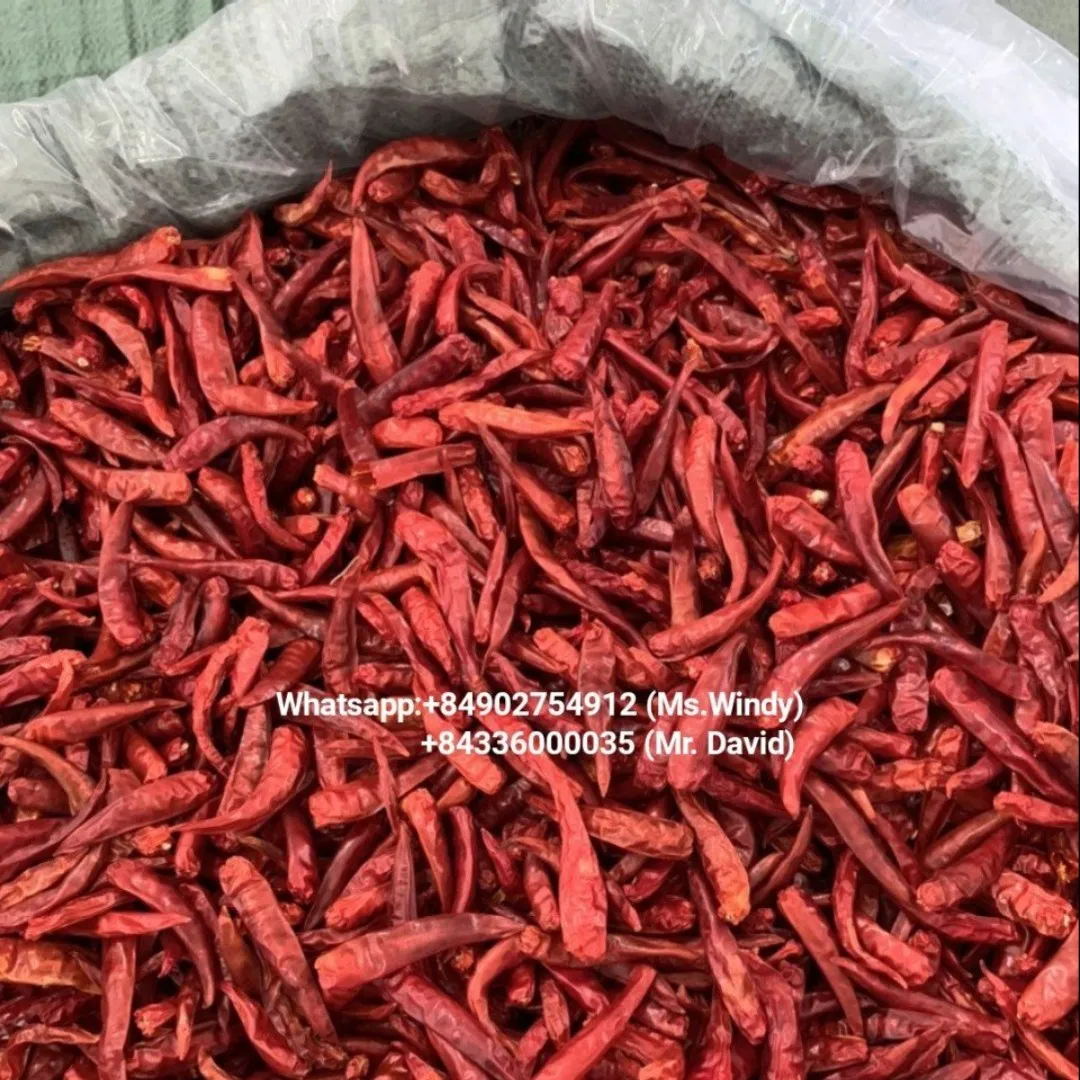 High quality and good price wholesale dried chili with export standards from Vietnam