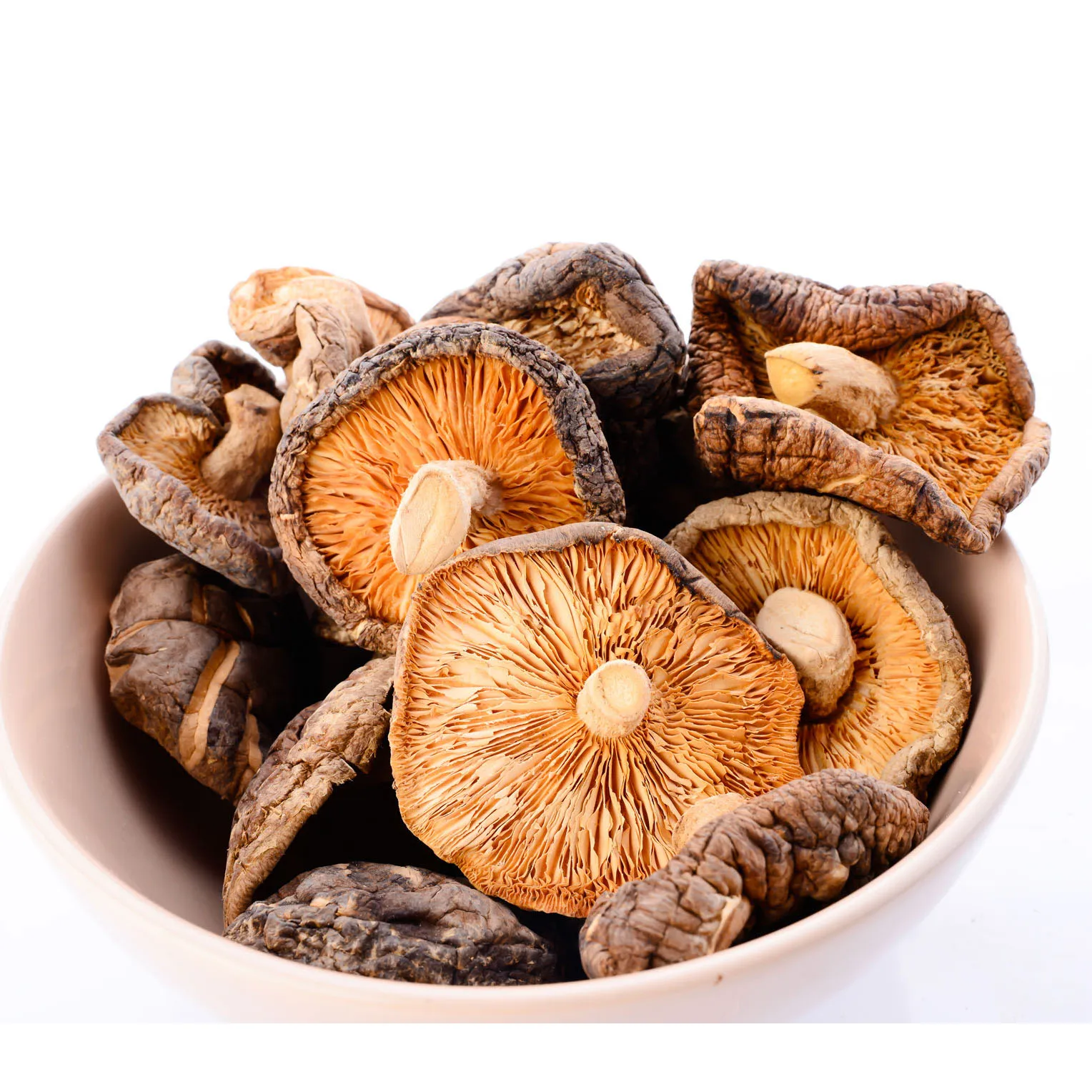 Dry shiitake mushroom for wholesale price