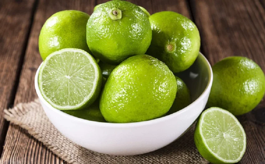 Fresh Seedless Lime Vietnam Cheap Price Green Lemon +84 348130861