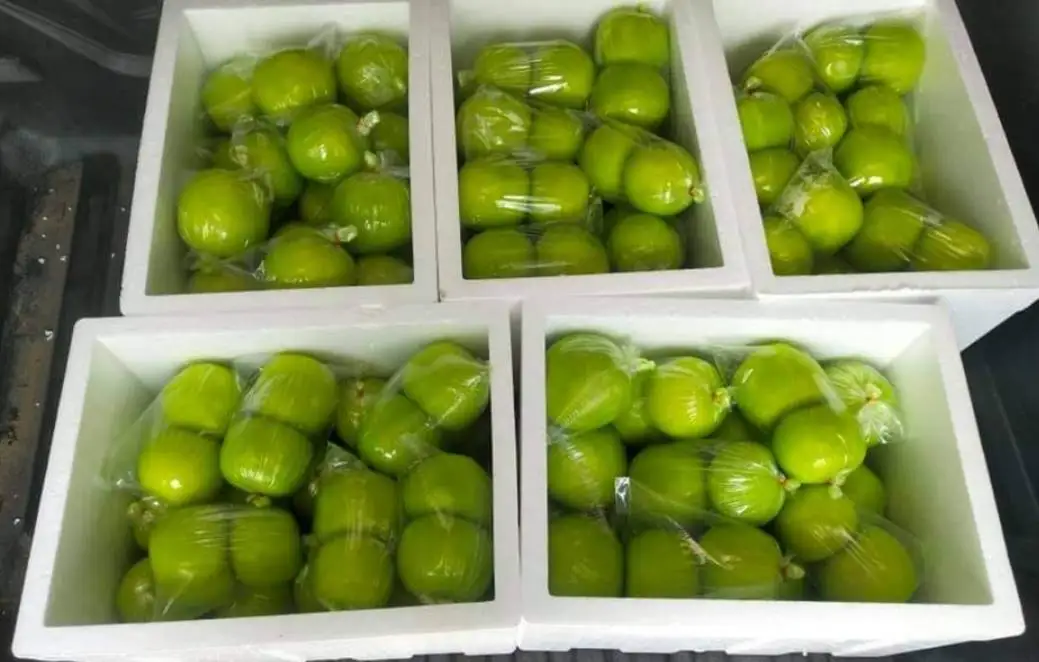 Тайланд Yummy Guava замоченные консерванты для фруктов