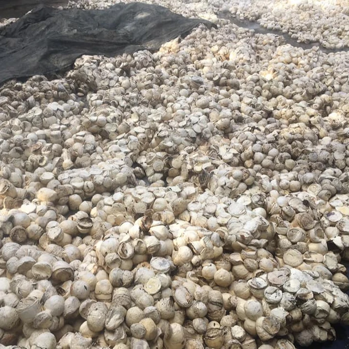 HIGH QUALITY NATURAL RUBBER HA LATEX 60% DRC