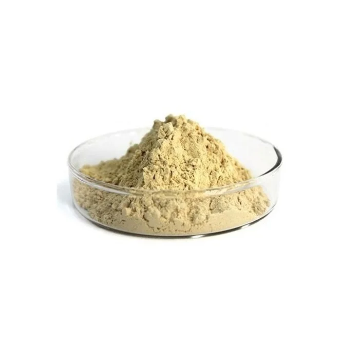 Wholesale Seller Of Soy Lecithin food grade 98% bulk Soy Lecithin powder Available In Bulk Stock