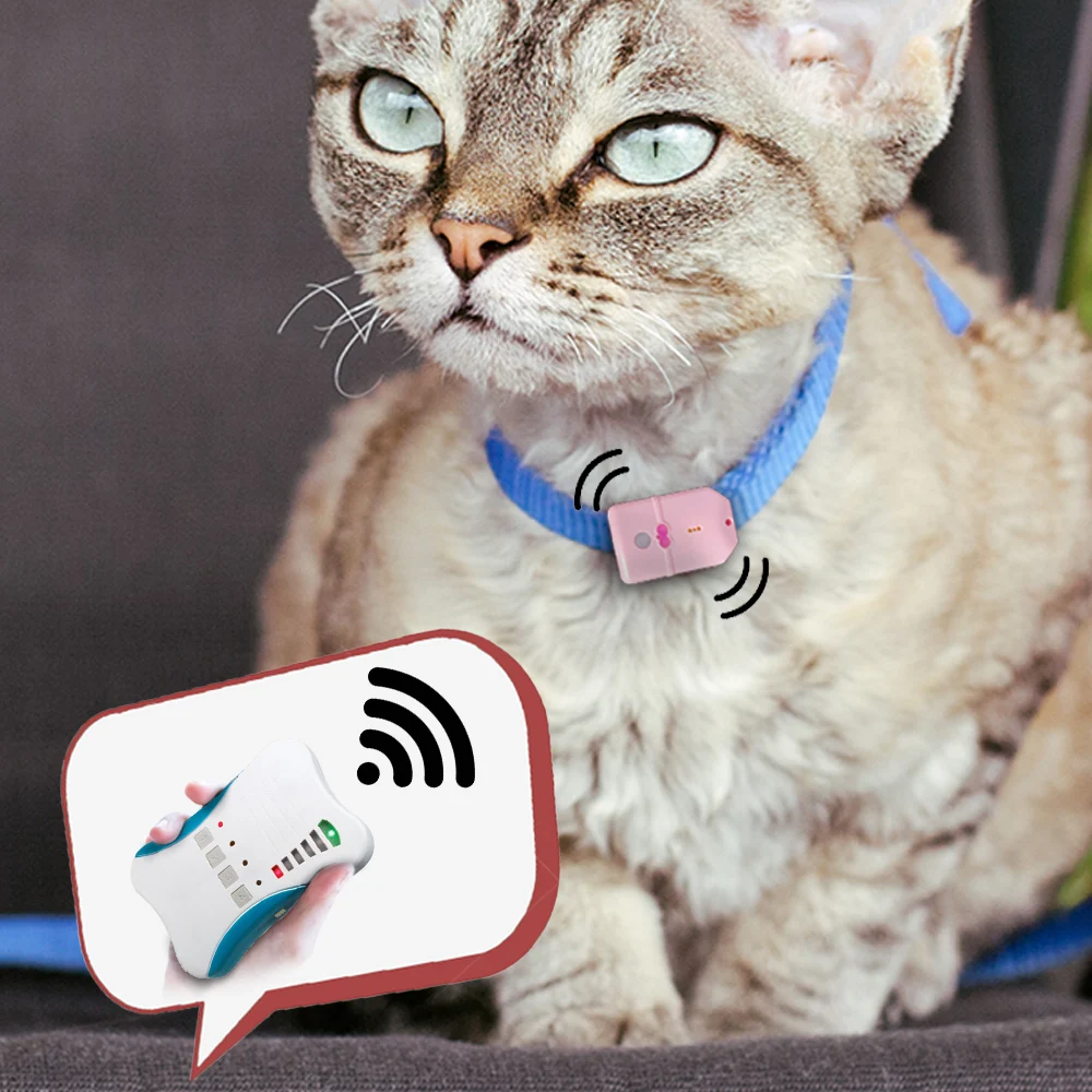 Горячая Распродажа Рекламная цена GPS-трекер для животных трекер домашних с трекером 3 бирки