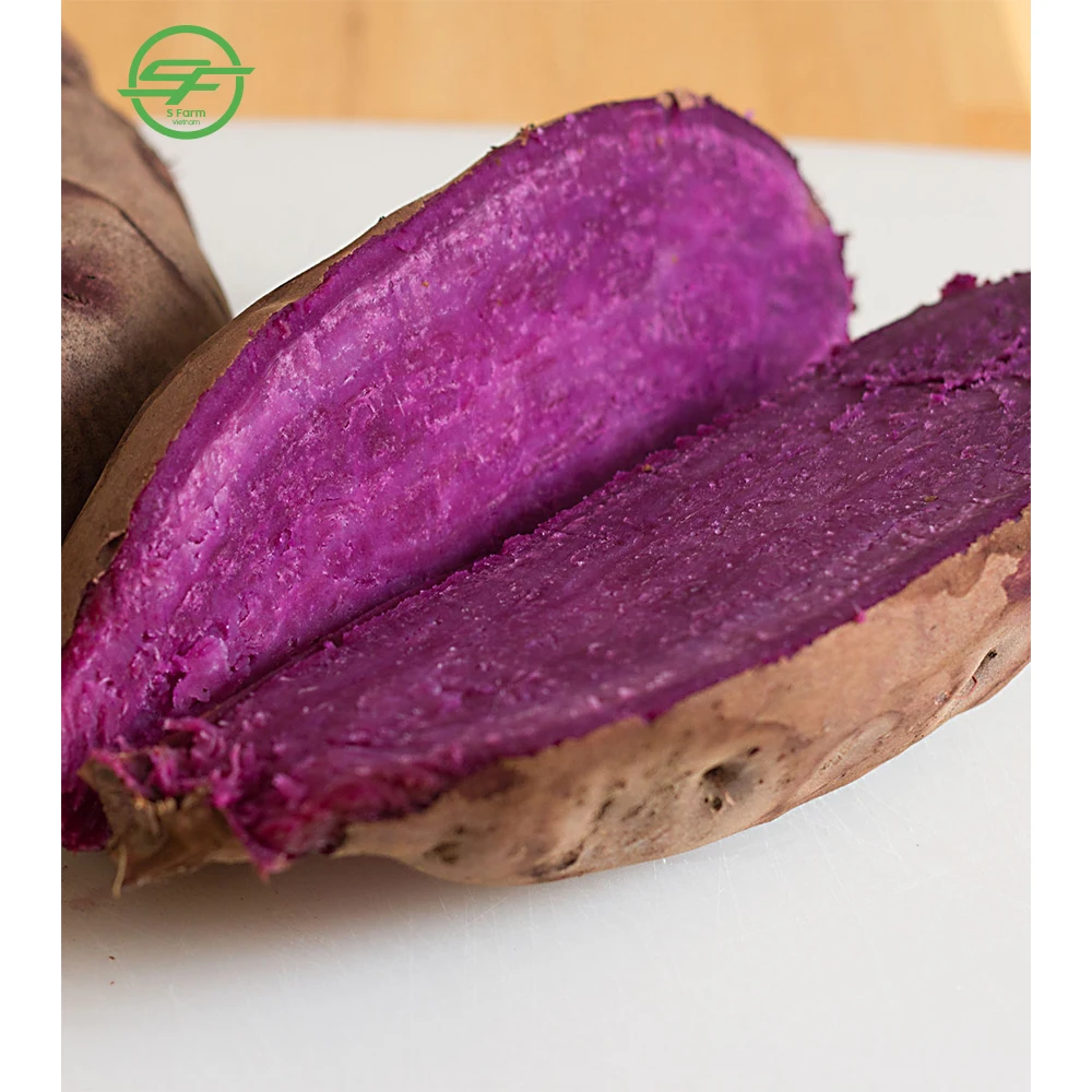 The Fresh Sweet Potato With Lowest Price From VietNam (Whatsapp/zalo/wechat: +84 912 964 858)