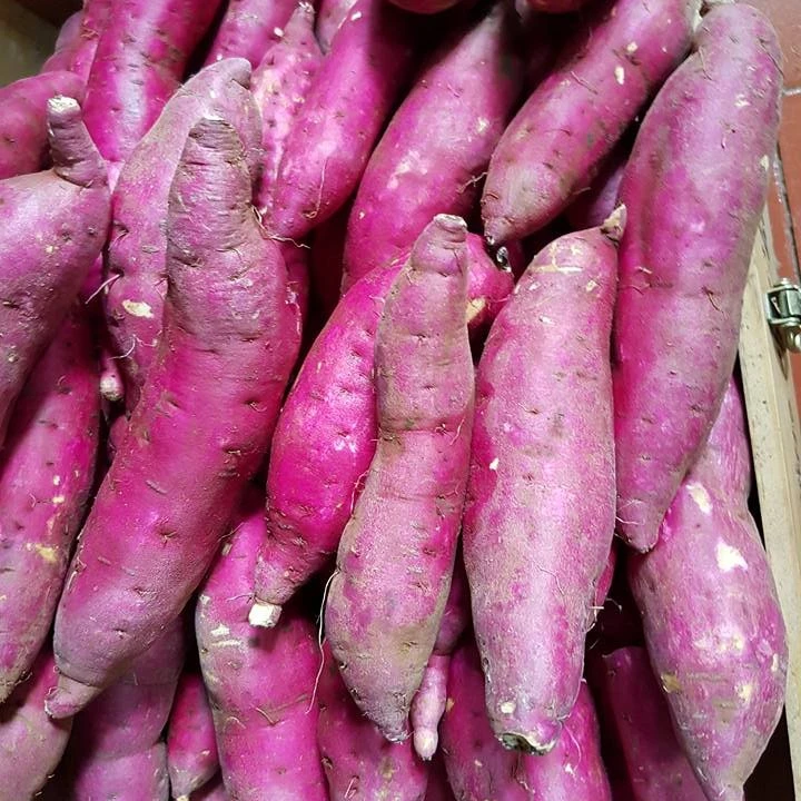 Сладкий картофель