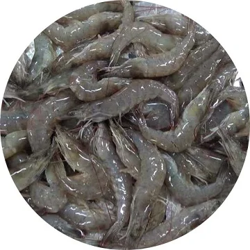 Frozen Vannamei Shrimp /Frozen shrimp Frozen PD Vannamei Shrimp