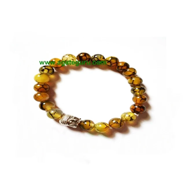 Squama rock/Dragon Bone with Buddha Beads Bracelets : Wholesale Crystal For Reiki Healing And Crystal Healing Stone