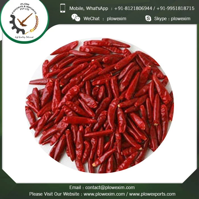 Indian Spices Dry Red Chillies TejaS17 Stemless