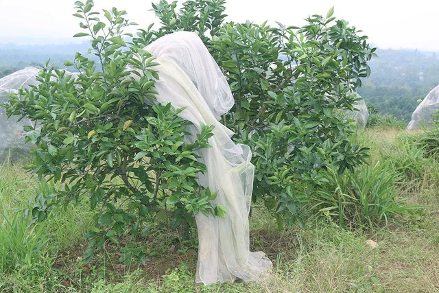 Тюлевая ткань 100% полиэстер тюль мягкая сетчатая оптовая продажа тюля во Вьетнаме