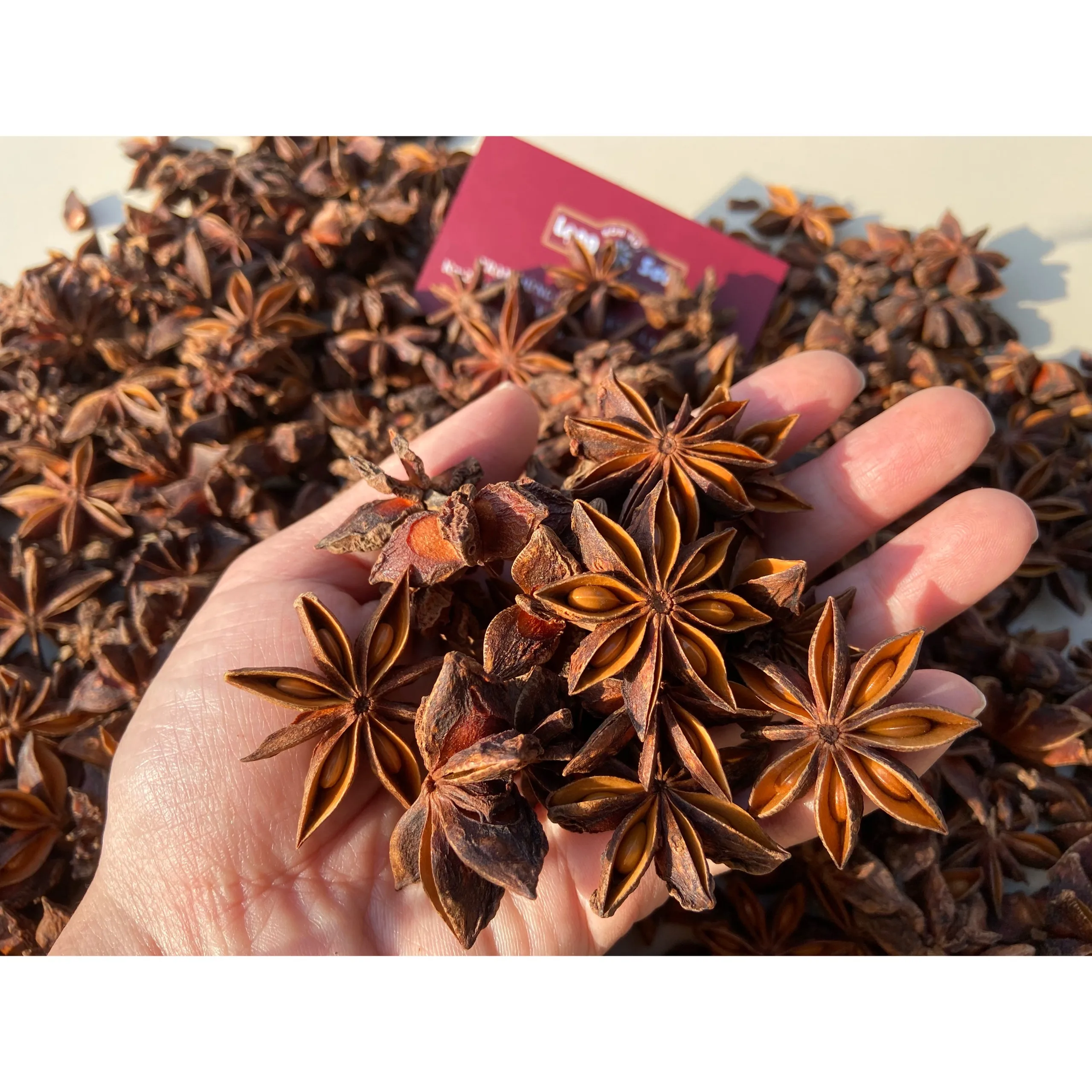 Vietnam Star Anise Natural brown Color Raw Processing Type Packing 10 kgs Moisture 13.5% Max Admixture 1%