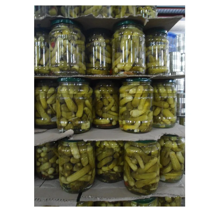 Свежий консервированный маринованный огурец из Вьетнама (г-жа Ли: + 84987731263)