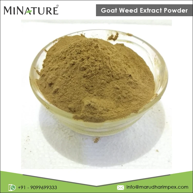 Bulk Quantity Exporter of Good Quality Goat Weed Epimedium Extract Powder for Wholesale Purchase