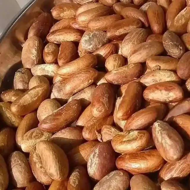 Горький кола Гарциния Кола и тигровый