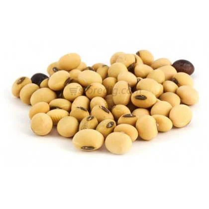 High Protein Soybean Meal Animal Feed Grade / Fish Meal Soybean Meal