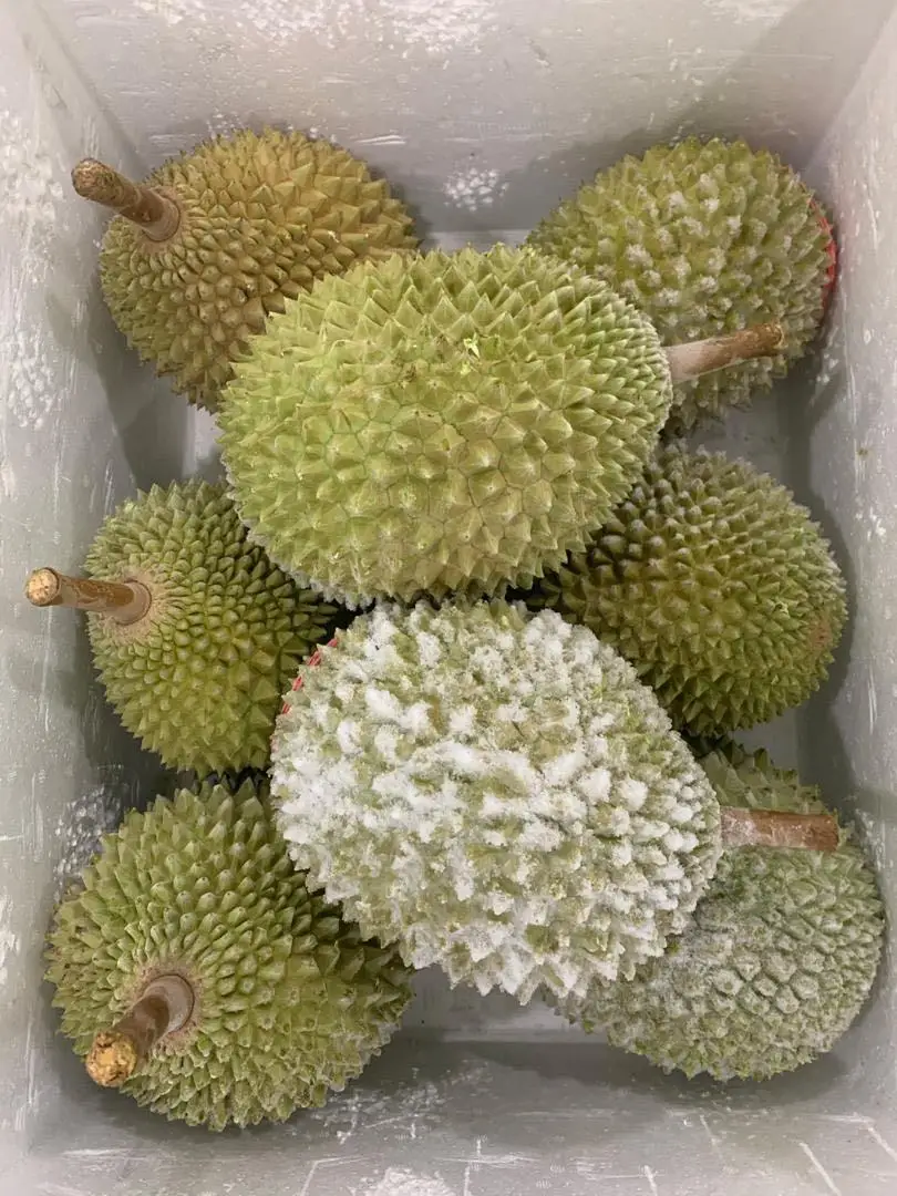 Durian Pulp Frozen Durian Fruit Pulp Halal Quality Malaysia 300g