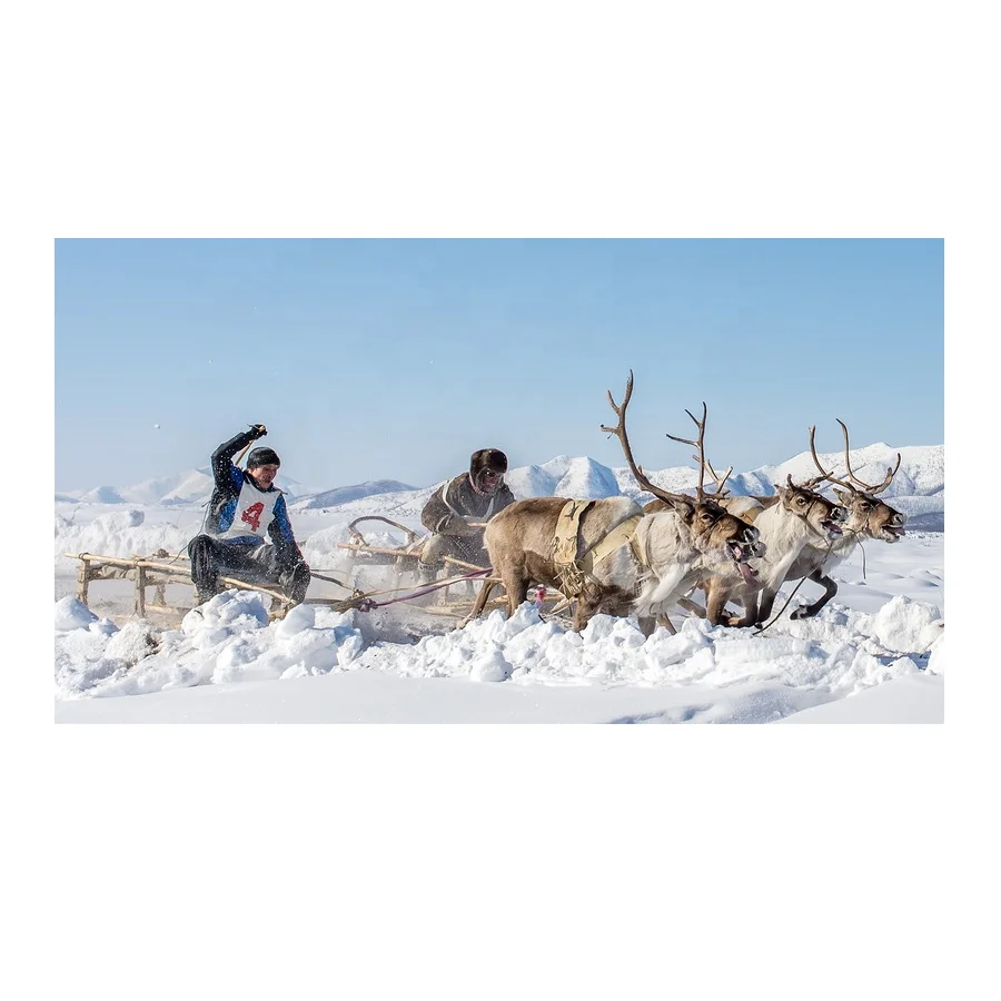 5-8 дней полюс холодной экспедиции Sakha Yakutia деловые дорожные