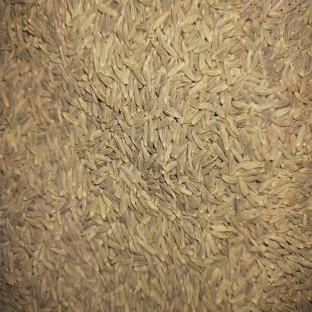 Семена тмина купите цену на семена