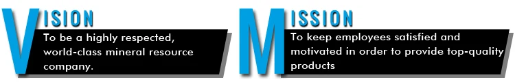 Vision-Mission.jpg