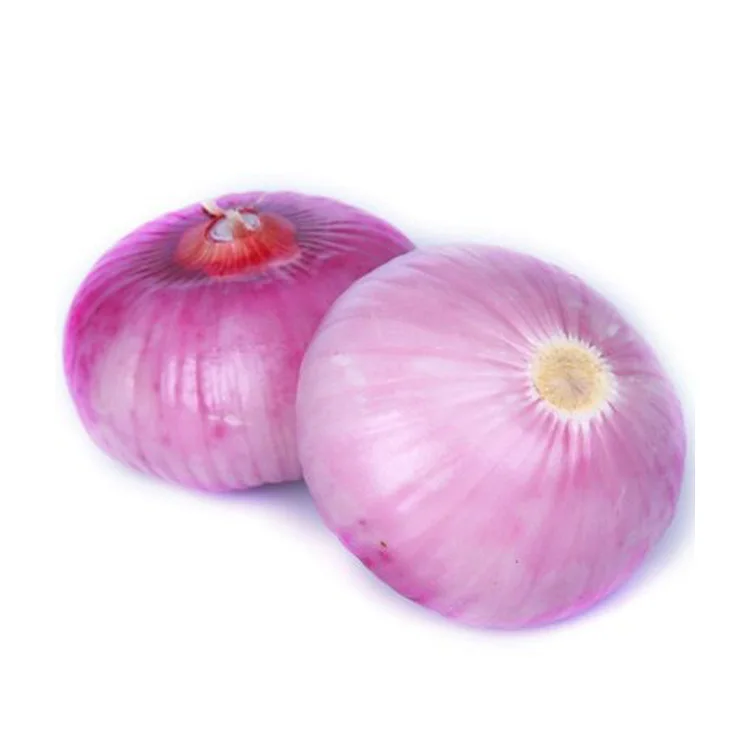 Best Selling Indian Fresh Red Onion for Export