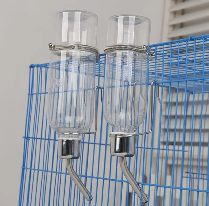 rabbit water bottle.jpg