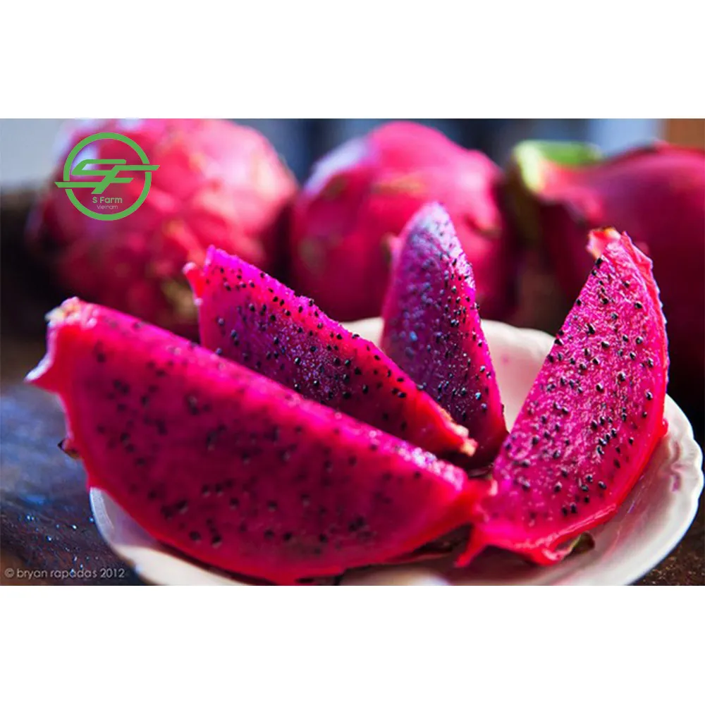 Provider of the Best Fresh Red Dragon Fruit  (Whatsapp/zalo/wechat: +84 912 964 858)