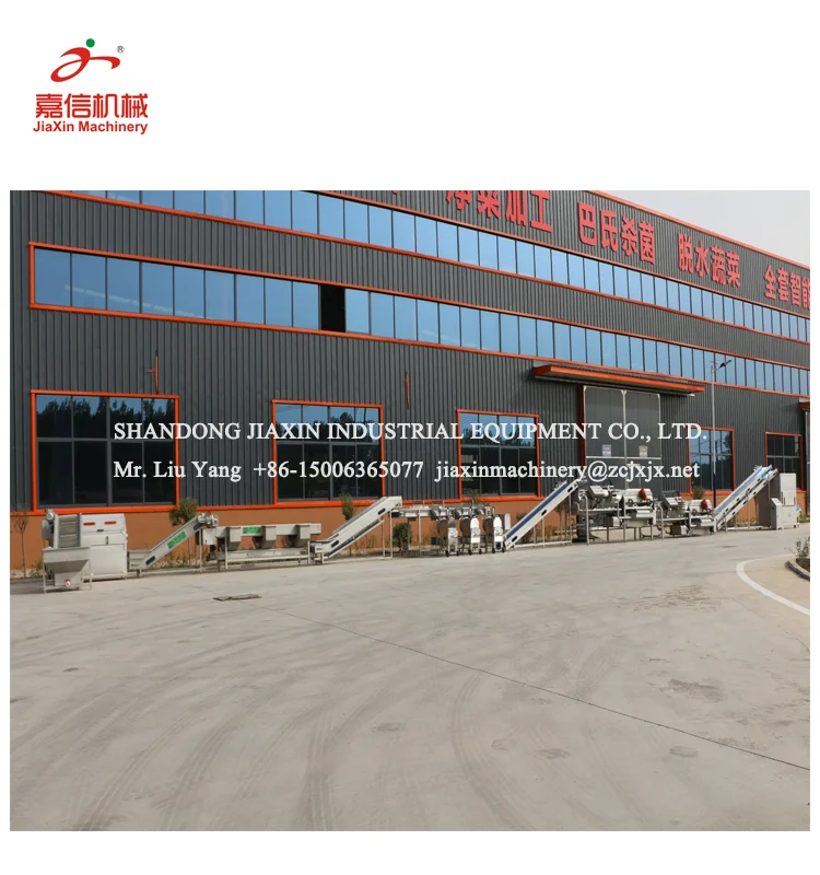 Hot sale fruit and vegetable washing equipment machine line
