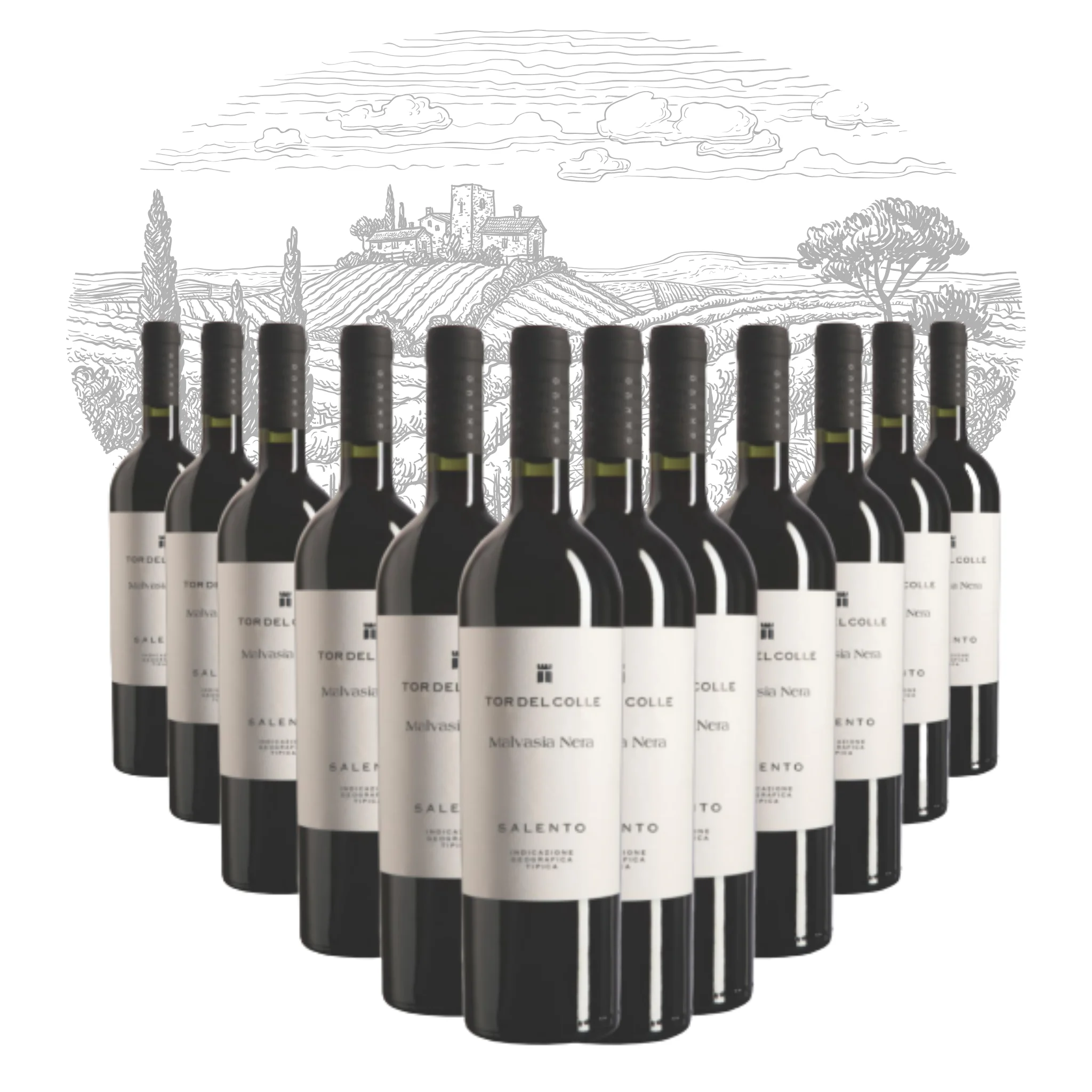 Premium Italian Red Wine - Malvasia Nera Salento IGT Tor del Colle - bottles 750 ml alcohol 14.5% for export