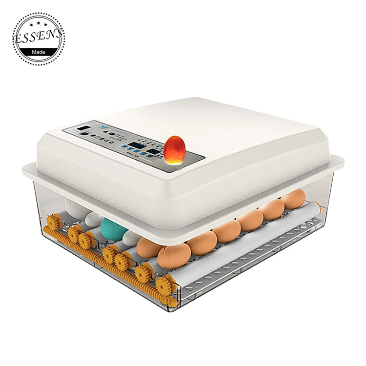  Hot sale high hatching rate 24/30/36/42 egg capacity automatic birds machine incubator mini
