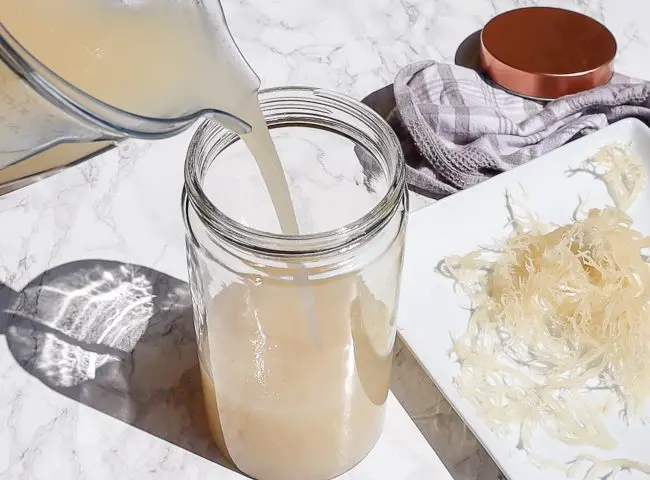  Высокое качество Eucheuma Cottonii/порошковый экстракт морского Моха для здоровья/Ms.Thi Нгуен + 84 988 872