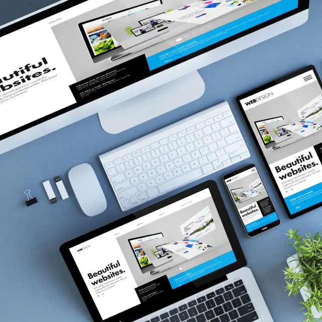 Разработка и разработка динамической сети B2B B2C