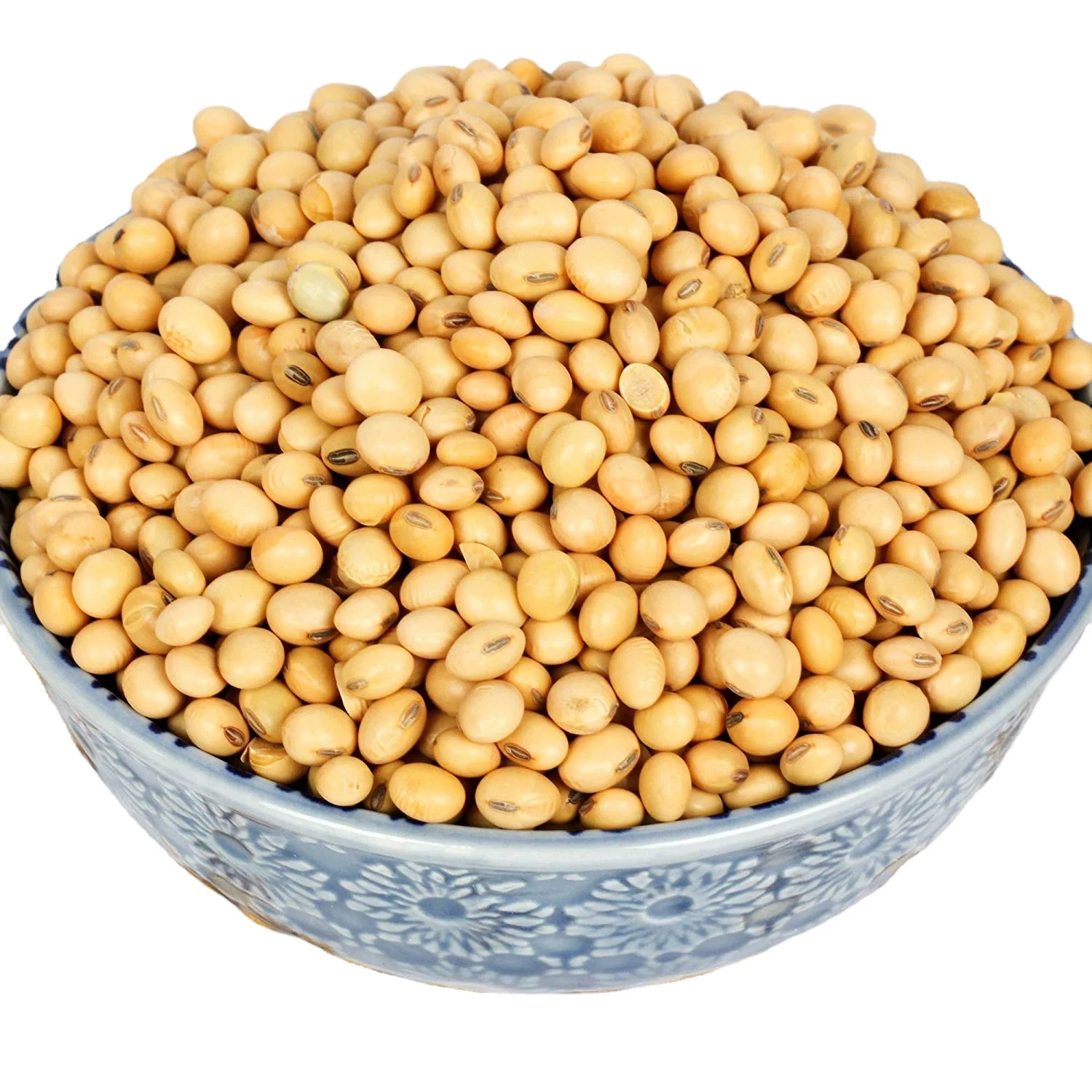 Quality Organic Soybeans Seed / Yellow Soybean Non-GMO Soy Beans