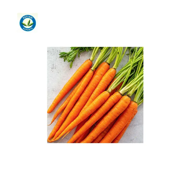Top Selling Best Quality Natural Carrot Oil for Skin Lightening