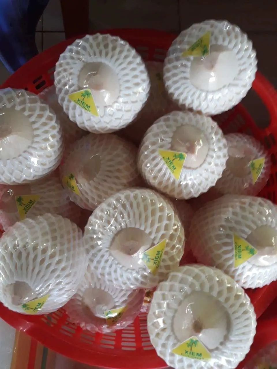 100% Natural Wholesale Coconut / Fresh Matured Coconut whatsapp +84 966208131