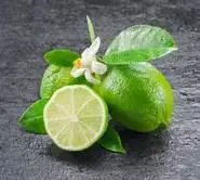 
FRESH LIME/ GREEN LEMON SEEDLESS BEST FRICE HIGH QUALITY FROM VIKAFOODS (WhatsApp/ Wechat: +84 983 028 718) 