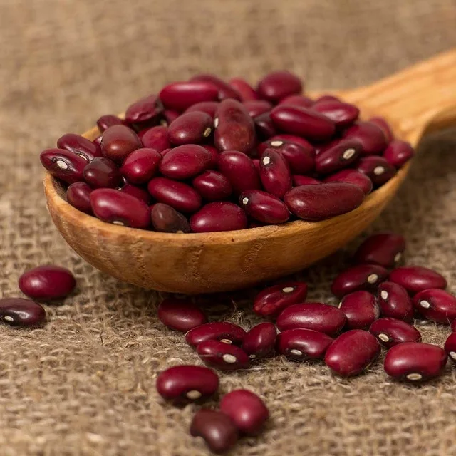 Оптовая продажа Pinto Bean красная зернистая фасоль