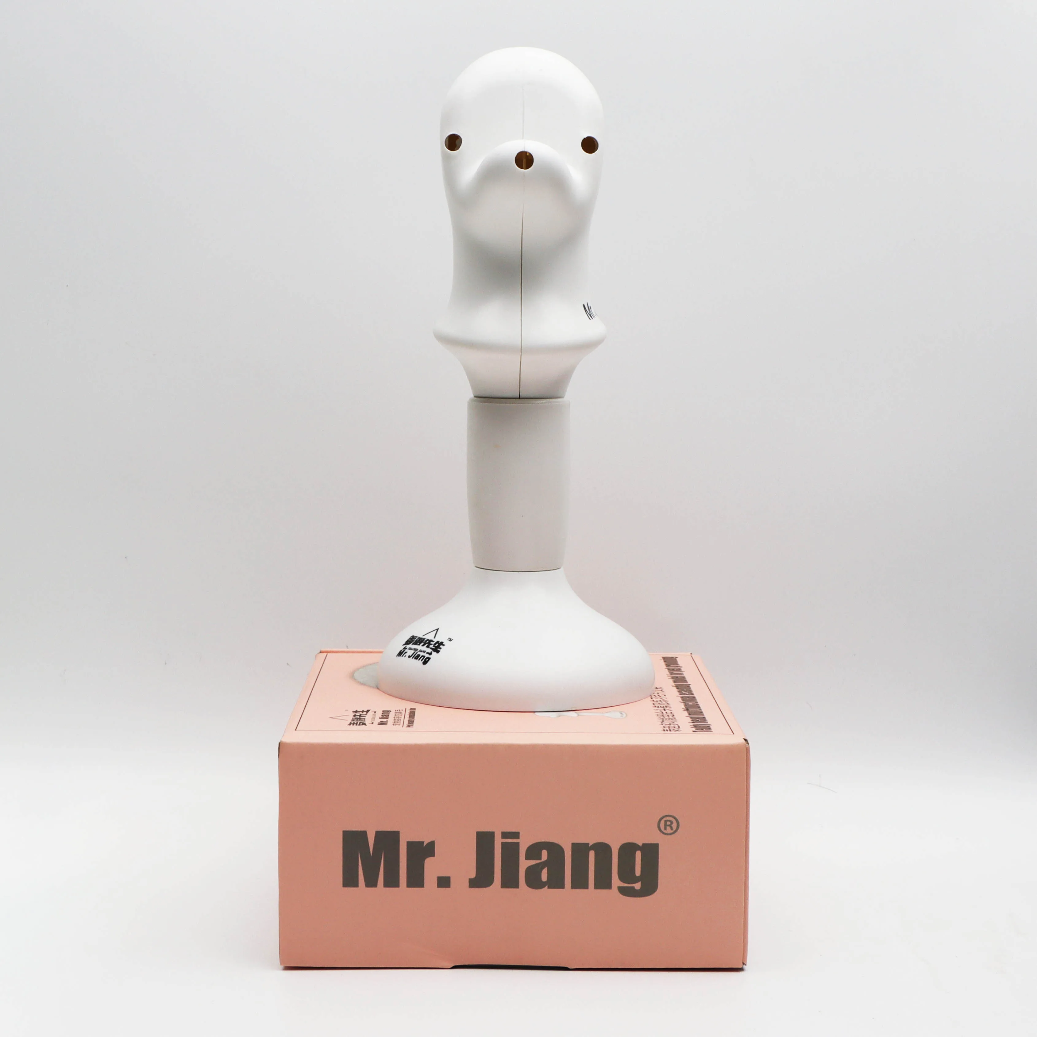 Mr. Jiang Model Dog Practice Grooming Teddy Bear Dog Head Mannequin