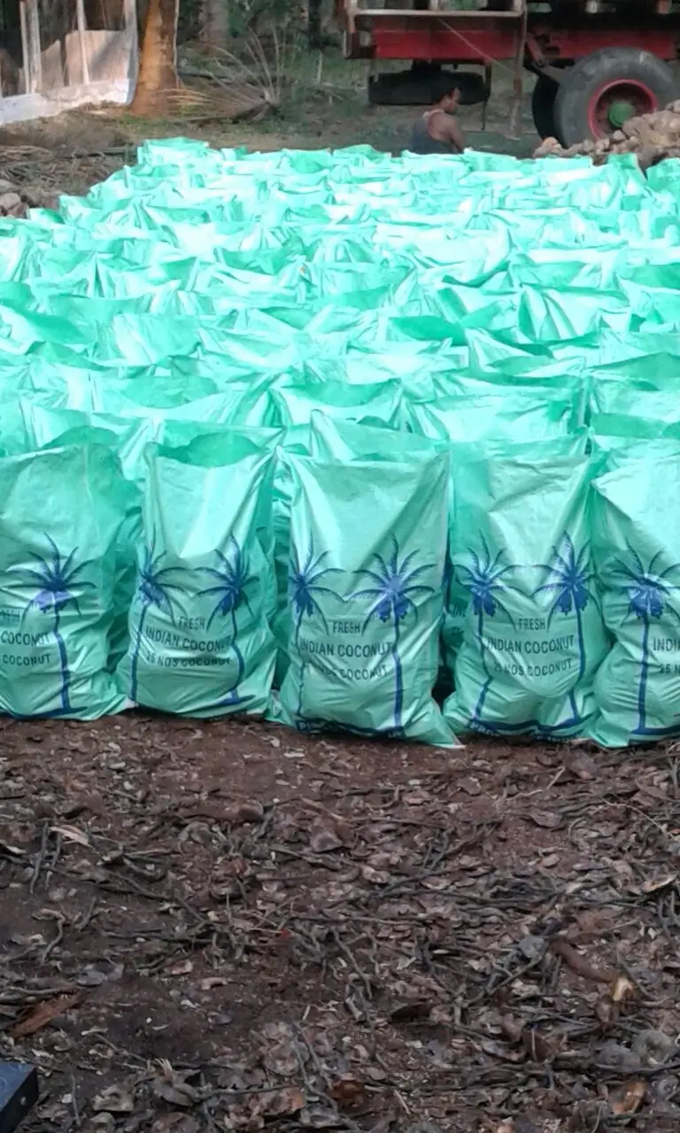 Coconut Large Manufacture Exporter of Coconut 100% Natural  Used Food Oil  More Milk Extraction Packaging  Customised logo