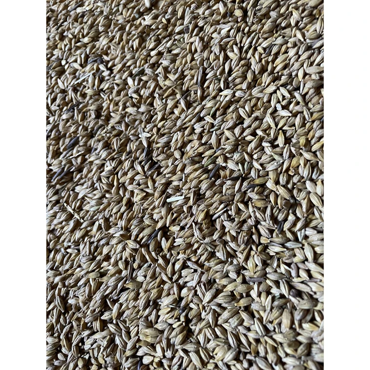 Bulk packed barley grain for feeding wholesale price, barley grain prices